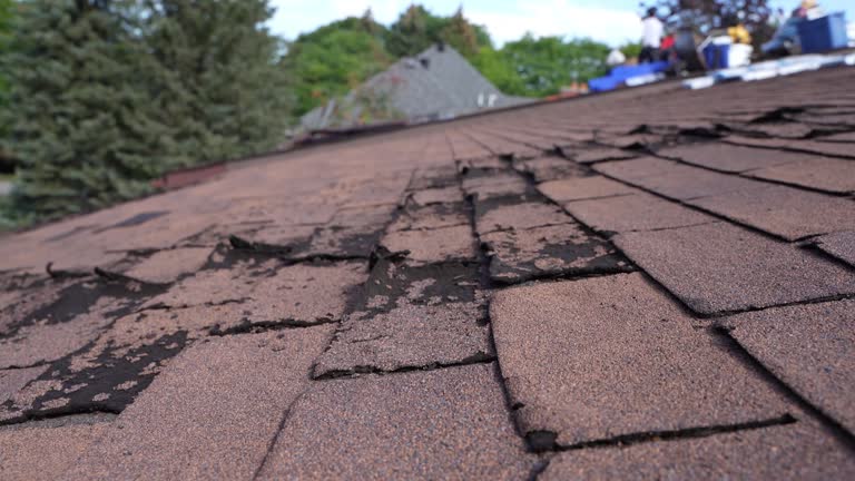 Best Cold Roofs  in Cherryvale, SC